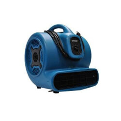 carpet cleaner, dryer and airmover