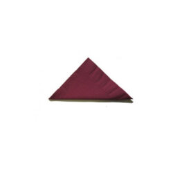 Abc serviette luncheon 2ply burgandy 315mmx315mm 2000's d-213bu | ac cleaning supplies