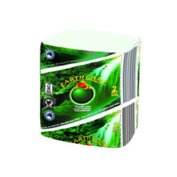 Abc earthcare interleaved toilet tissue 250sht 2ply ec-250 | ac cleaning supplies
