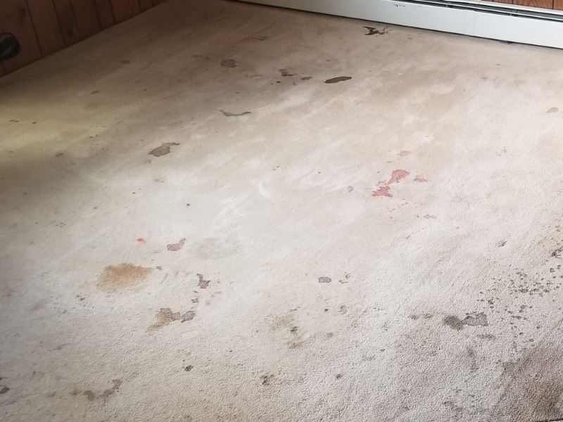 Dirty carpet showing need for cleaning and knowing how to use carpet dryer for drying efficiency