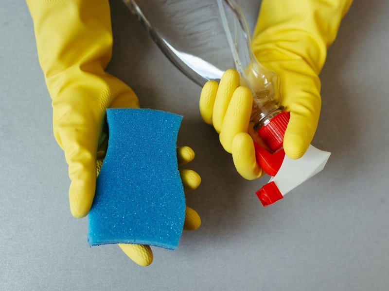 Hands with gloves holding sponge and spray bottle showing the best cleaning supplies in action