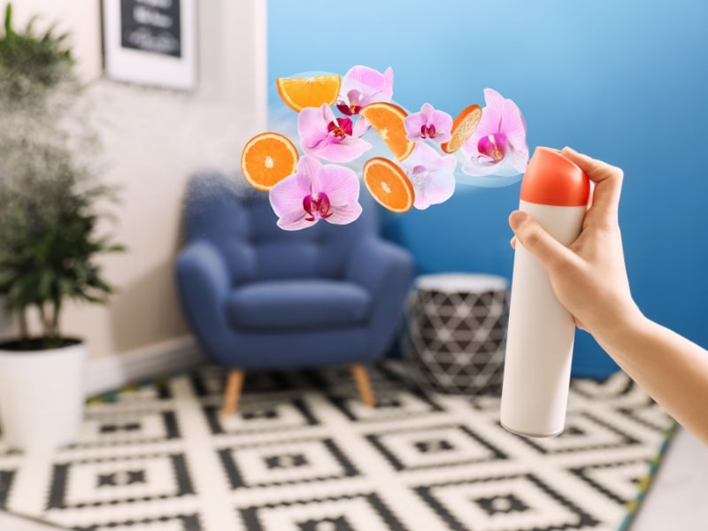 Air freshener refill spraying floral and citrus scent into living room for pleasant indoor aroma.